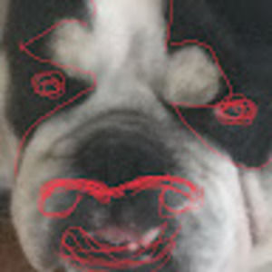 Meet your Posher, Carter